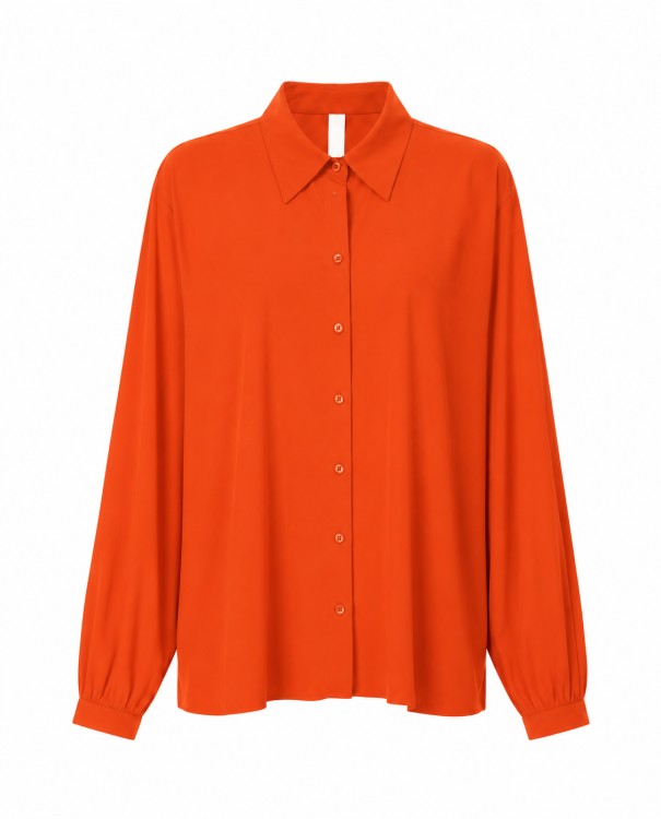 Blouses Iwai