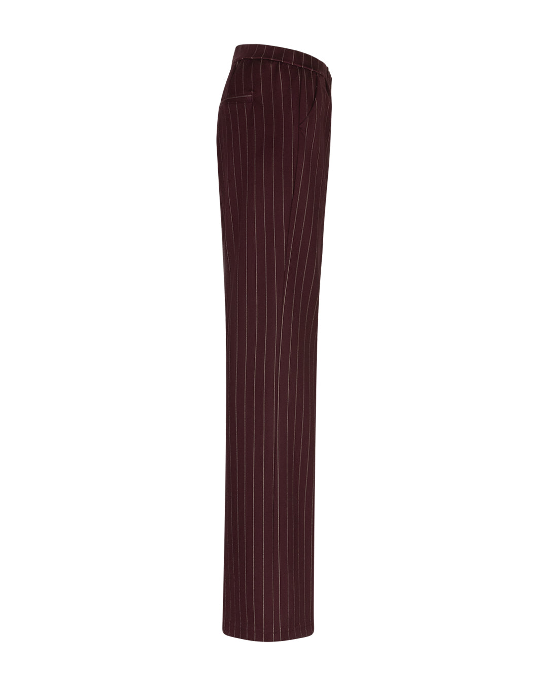 Colette punta pinstripe L33